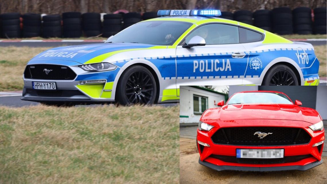 Sportowy Mustang będzie teraz ścigał piratów drogowych