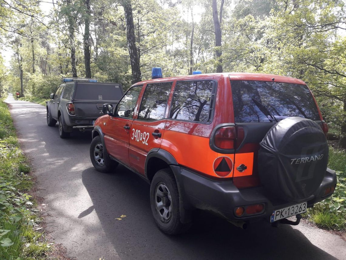 Strażacy sprawdzali bezpieczeństwo pożarowe w lasach