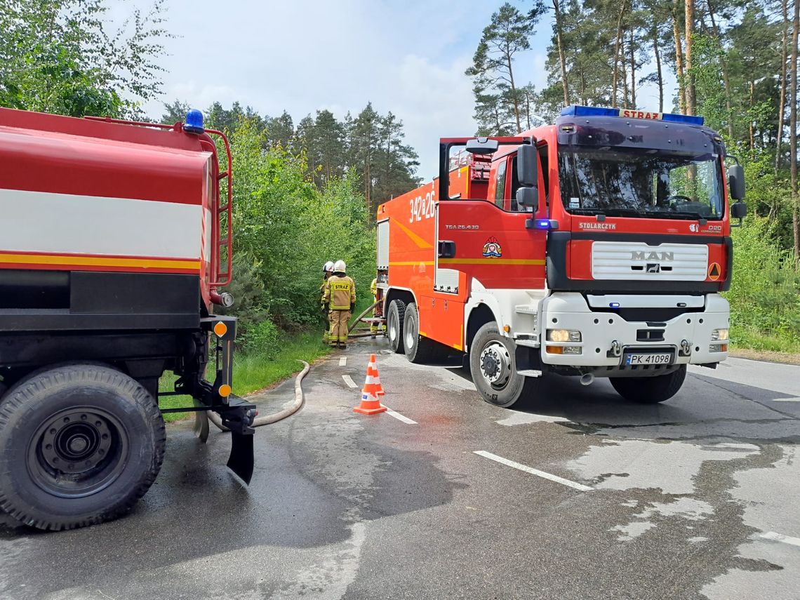 Strażacy znów się szkolą. Tym razem z zakresu gaszenia pożarów lasu