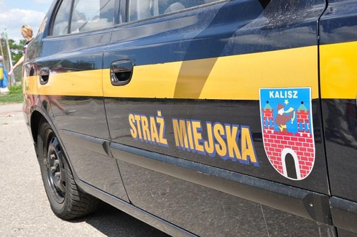 Strażnicy miejscy pomagają odpalić samochody