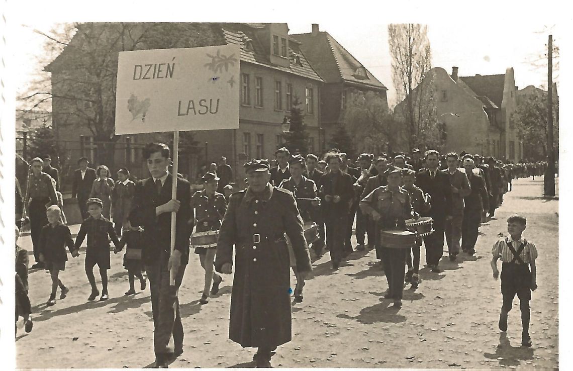 Święto Lasu – wielkie sadzenie drzew na starych fotografiach. OKL zaprasza na wystawę