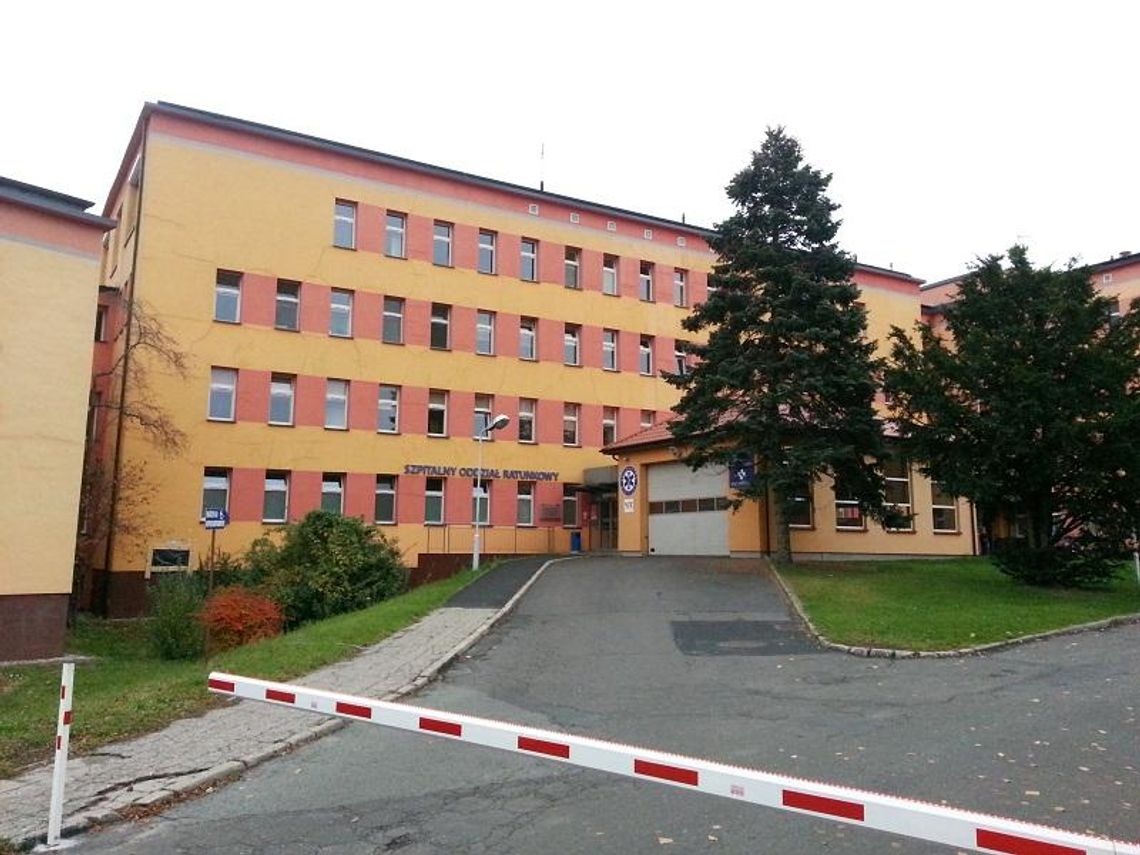 Świńska grypa dotarła do Ostrowa Wielkopolskiego