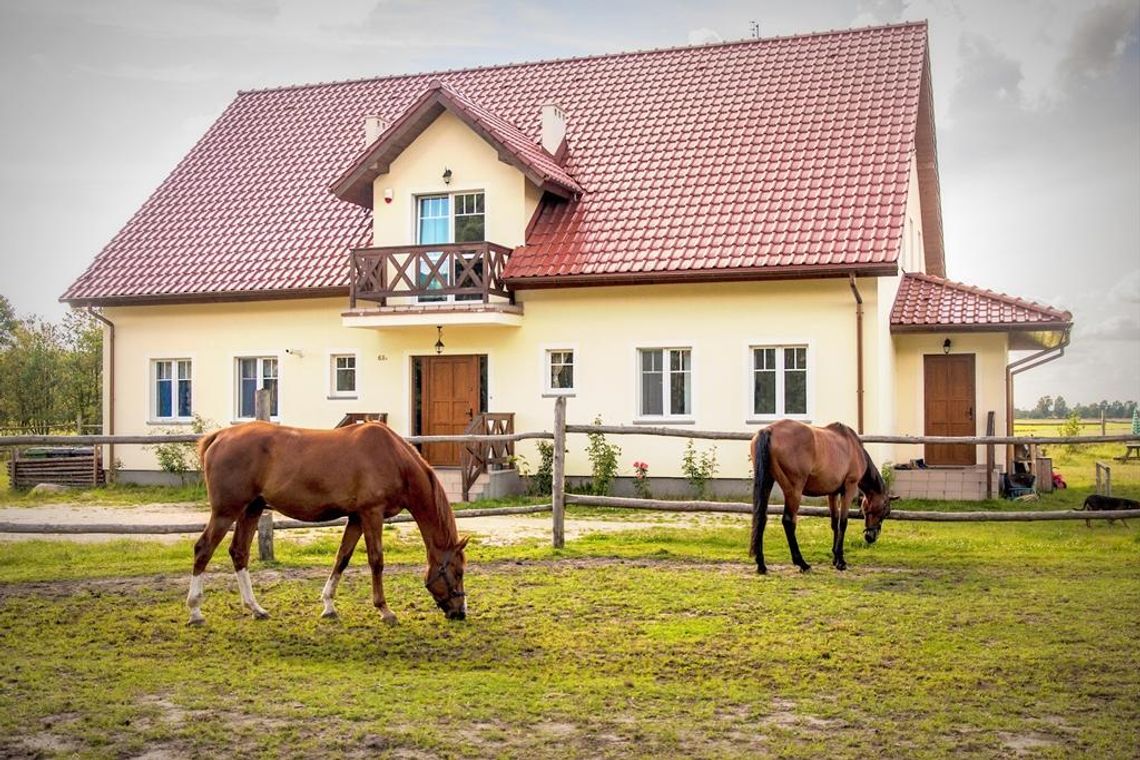 Szukają najlepszego gospodarstwa agroturystycznego