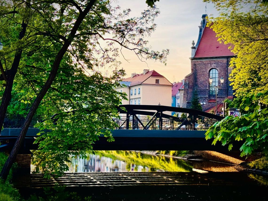 Szukasz pracy? W tym tygodniu sporo nowych ofert GIEŁDA PRACY