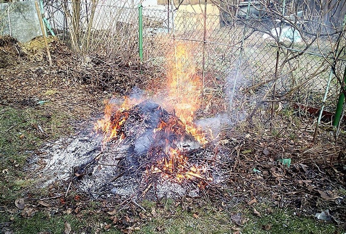 Tak działkowiec pozbywał się odpadów. Słono za to zapłacił ZDJĘCIA