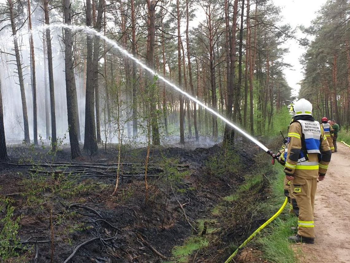 Tak źle dawno nie było. Dwukrotnie więcej pożarów