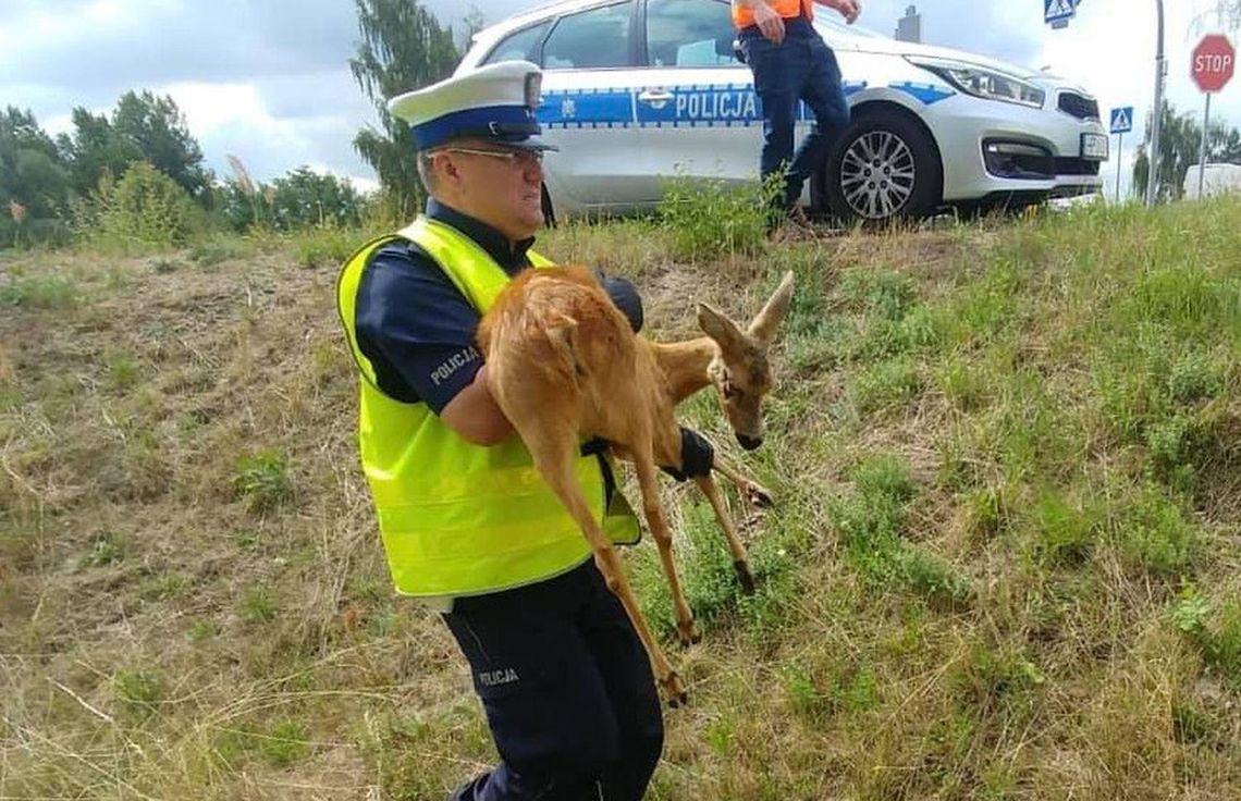 Tego policjanta kochają zwierzęta! Dr Dolittle w ostrowskiej komendzie ZDJĘCIA