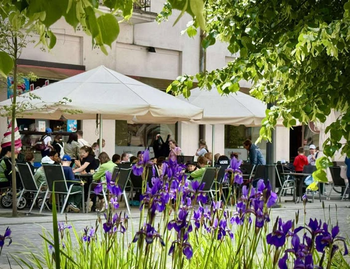 To będzie się działo w ten weekend w Kaliszu! LISTA WYDARZEŃ