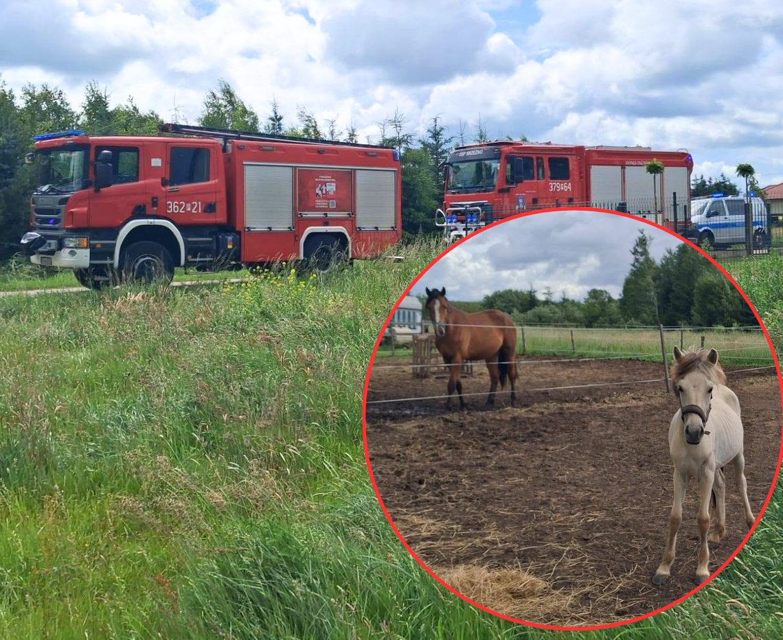 Tragedia na stadninie. Zerwana linia energetyczna
