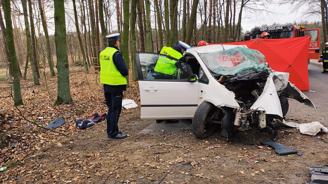 Tragiczny wypadek w regionie. Nie żyje młody kierowca ZDJĘCIA