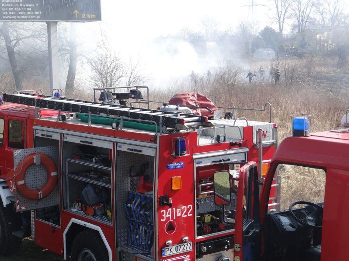 Trawy i nieużytki płoną częściej niż przed rokiem