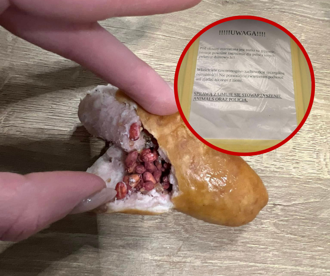 Trutki w kiełbasie na kaliskim osiedlu! Znowu ktoś to robi! Trutki w kiełbasie na kaliskim osiedlu! Znowu ktoś to robi!