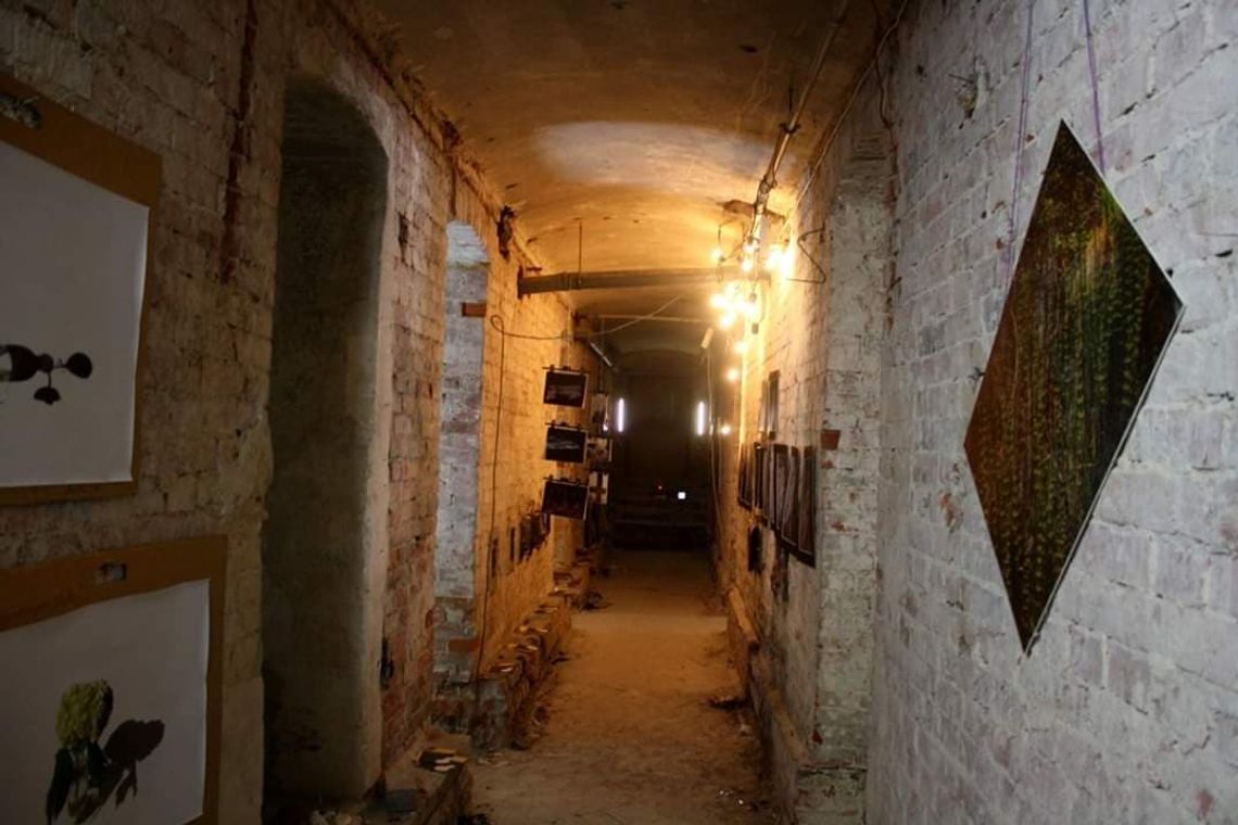 Trwa Galeria Bezdomna