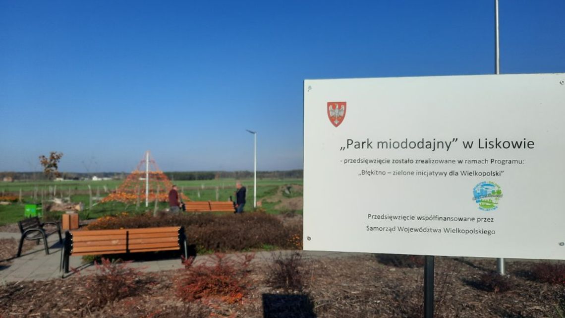 Tu odpoczniesz w otoczeniu natury! W Liskowie powstał Park Miododajny