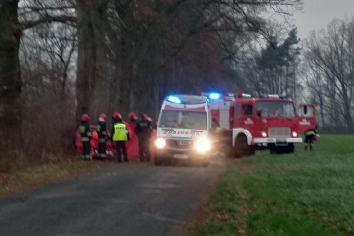 Uderzyła w drzewo, nie żyje ZDJĘCIA