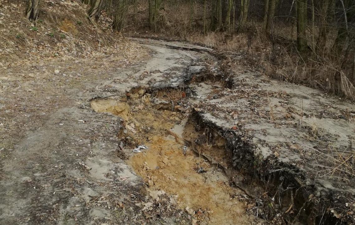 Ul. Toporowa i Tarczowa. Najgorsze drogi w mieście? ZDJĘCIA