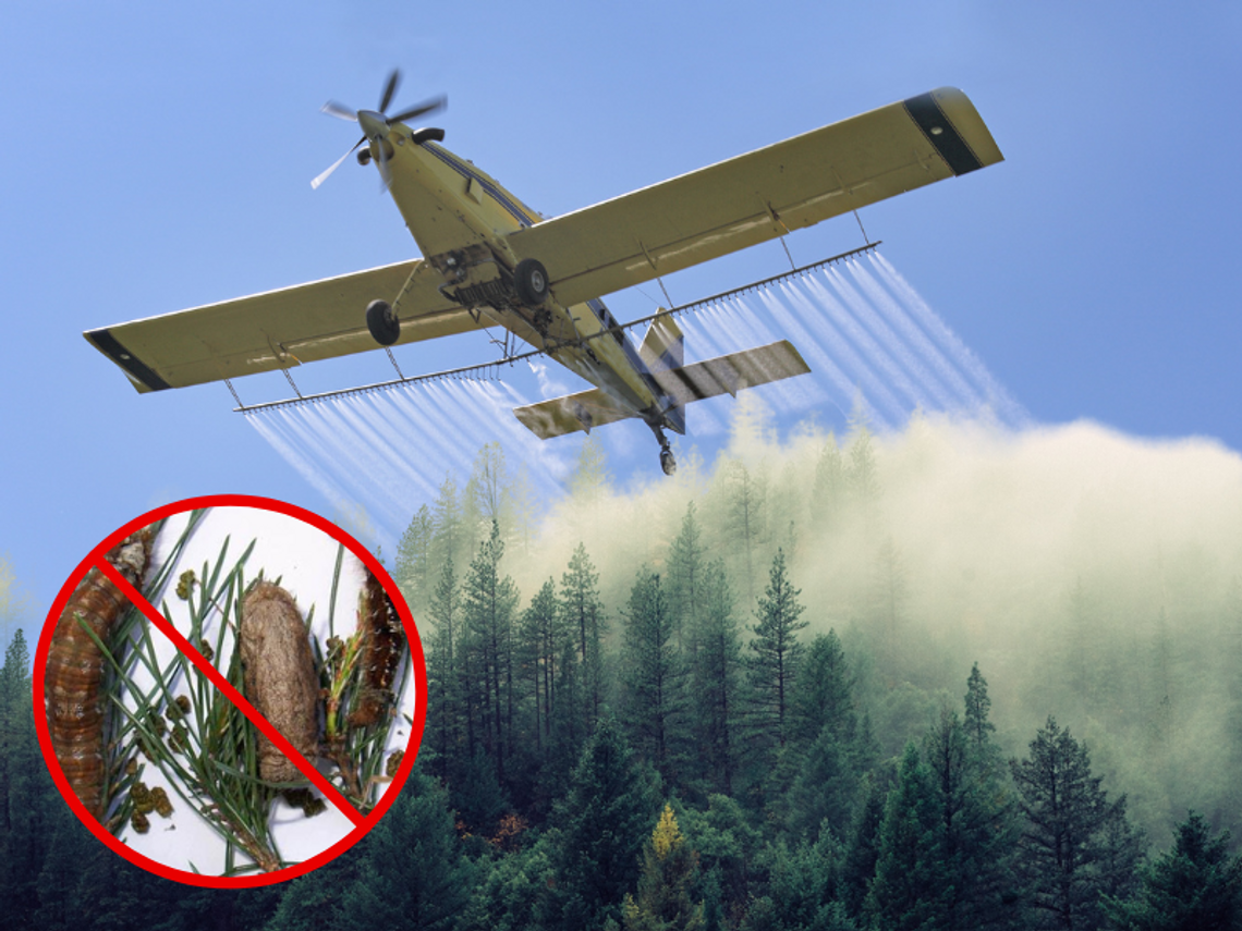 Uwaga! Lotnicze zabiegi ratownicze w lasach MAPA