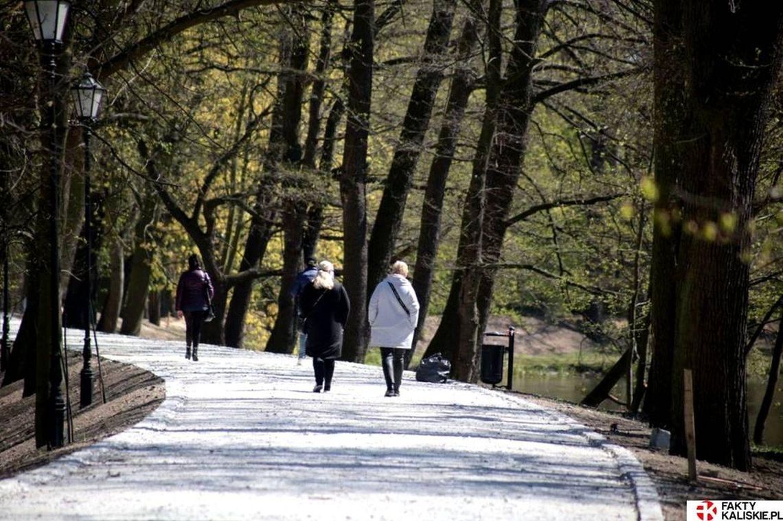 W kaliskich parkach pojawią się przenośne toalety i nowoczesny szalet miejski