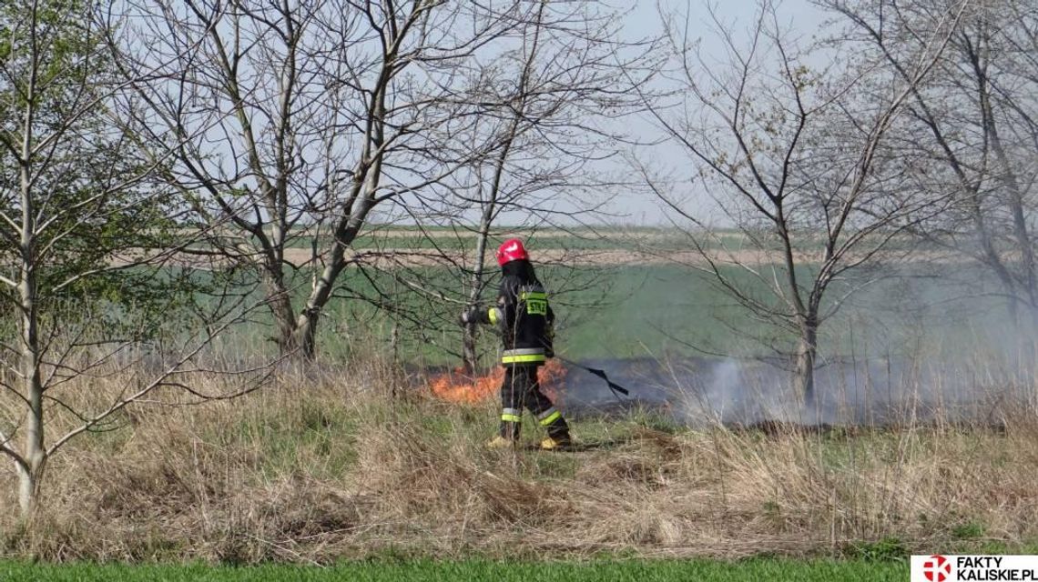 W Kaliszu grasuje podpalacz? Takiej liczby pożarów dawno nie było