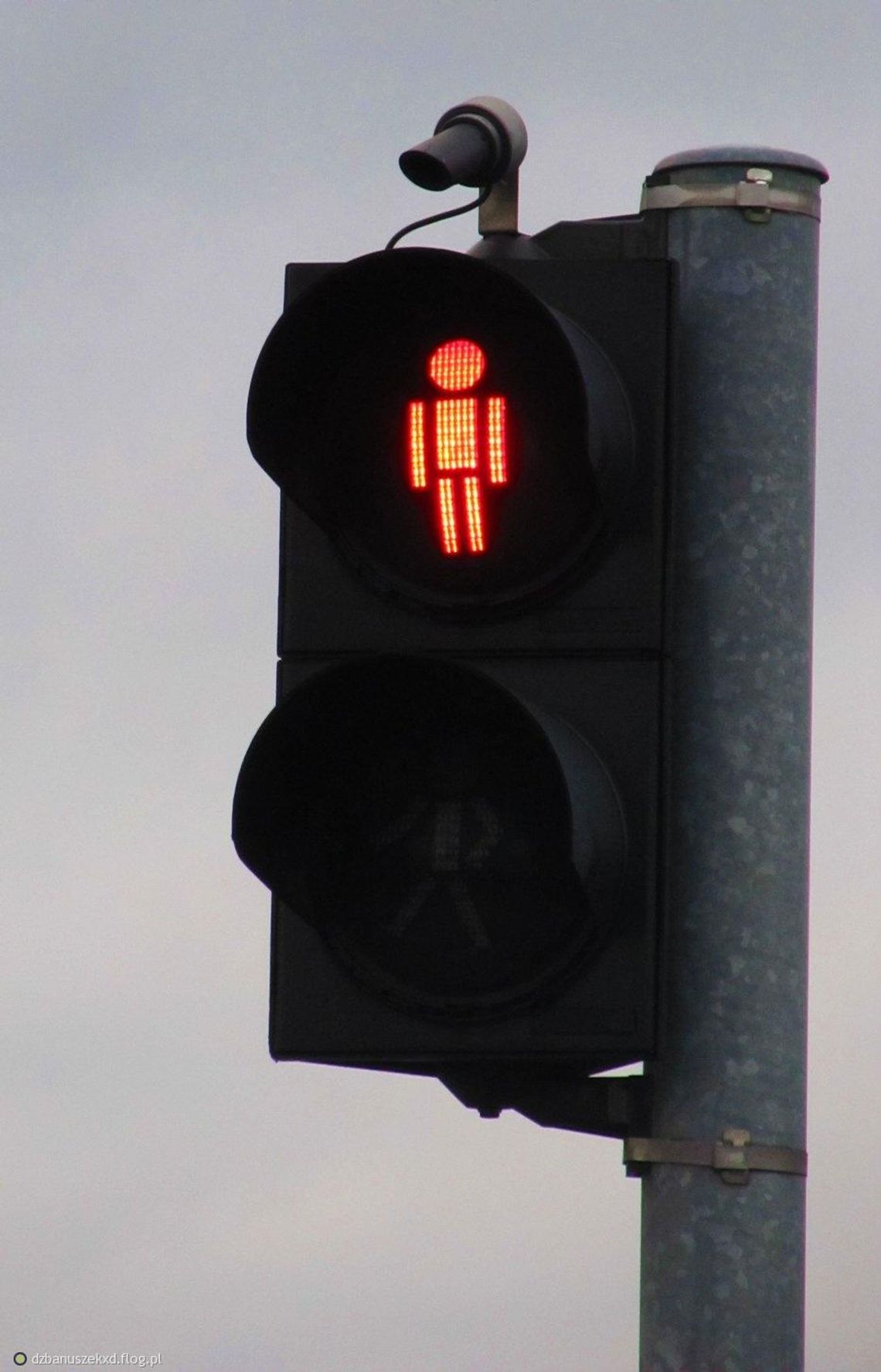 W piątek piesi na celowniku policji