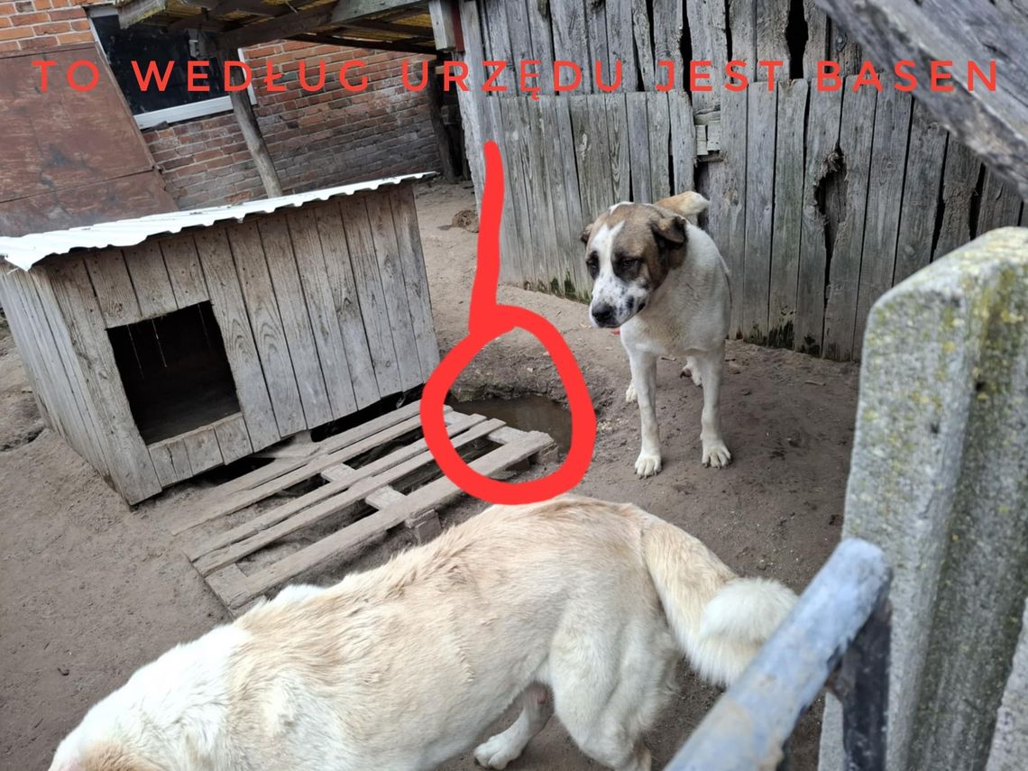 Warunki, które trudno usprawiedliwić... Kontrowersyjna decyzja urzędu