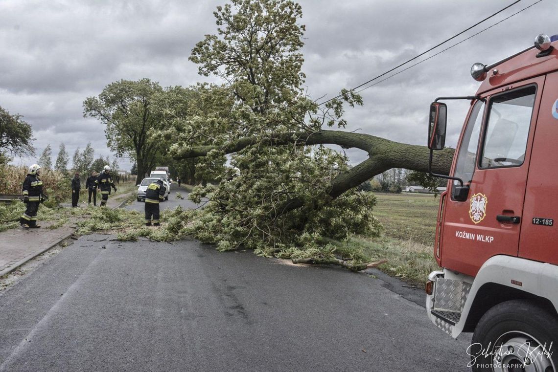 Wichura nad Krotoszynem ZDJĘCIA