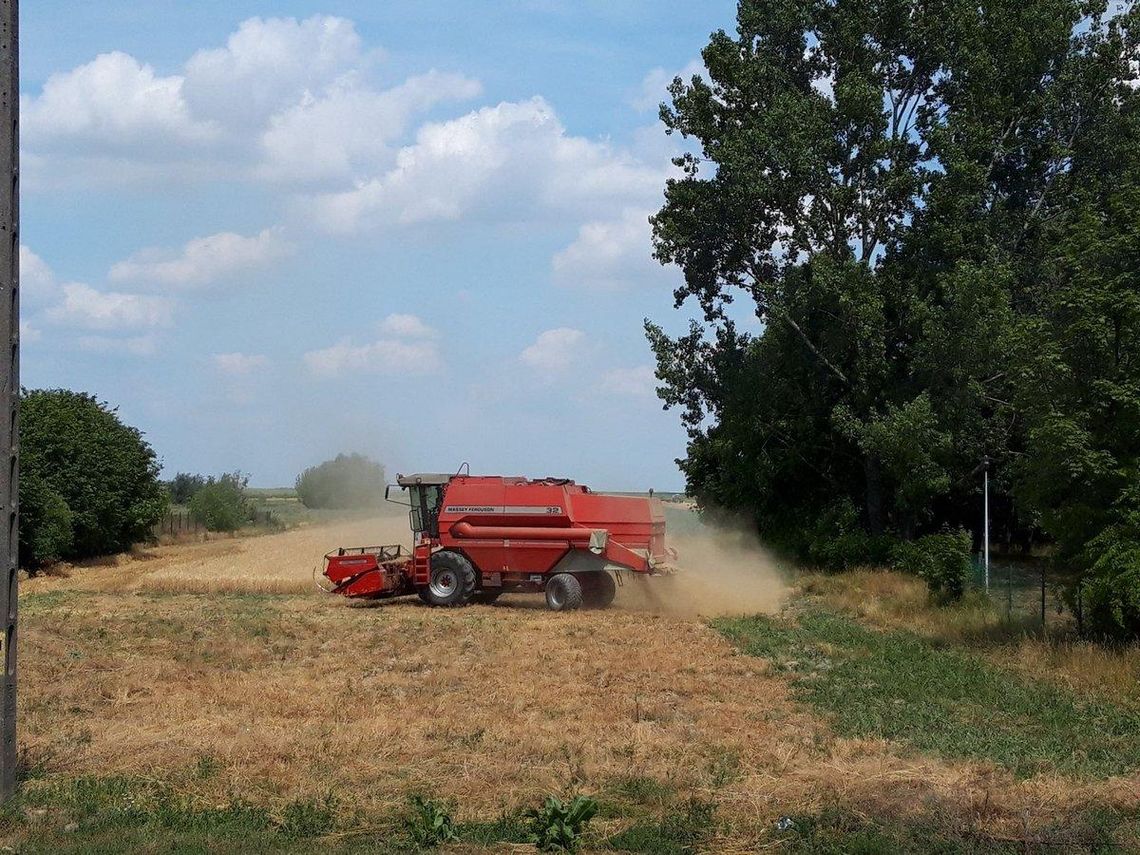 Więcej wniosków suszowych. Teraz straty oszacują komisje