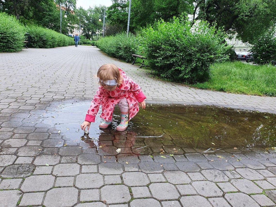 Więcej zieleni i kompleksowy remont. Rusza przebudowa Plant Miejskich WIDEO