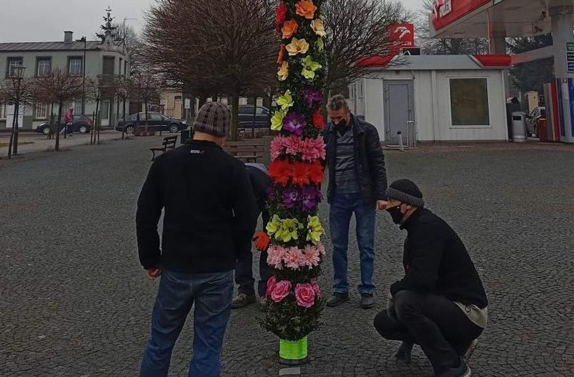 Wielka palma wielkanocna stanęła na rynku w Koźminku ZDJĘCIA