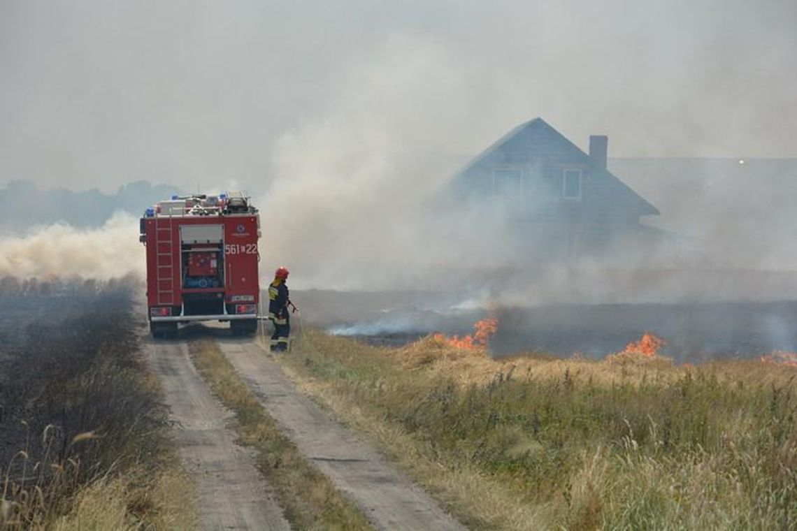 Wielki pożar ścierniska ZDJĘCIA I WIDEO