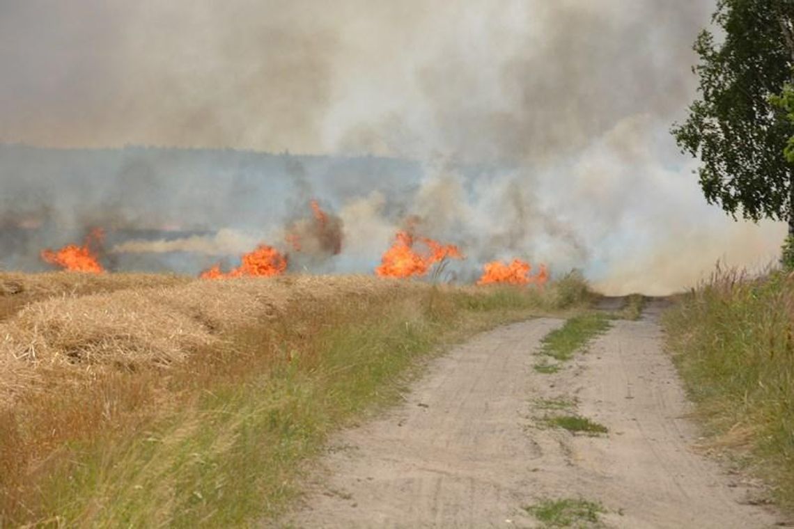 Wielki pożar zboża ZDJĘCIA