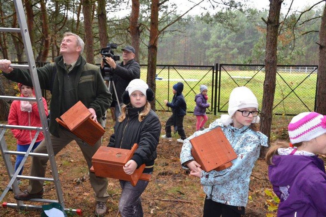 Wieszają budki dla ptaków ZDJĘCIA