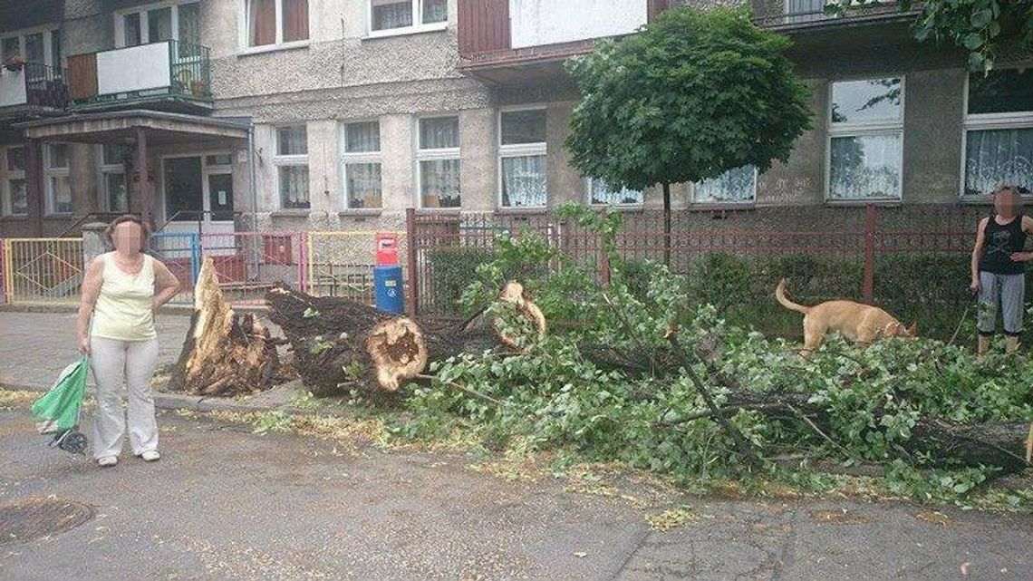 Wietrzna noc za nami. Jutro również mocno powieje