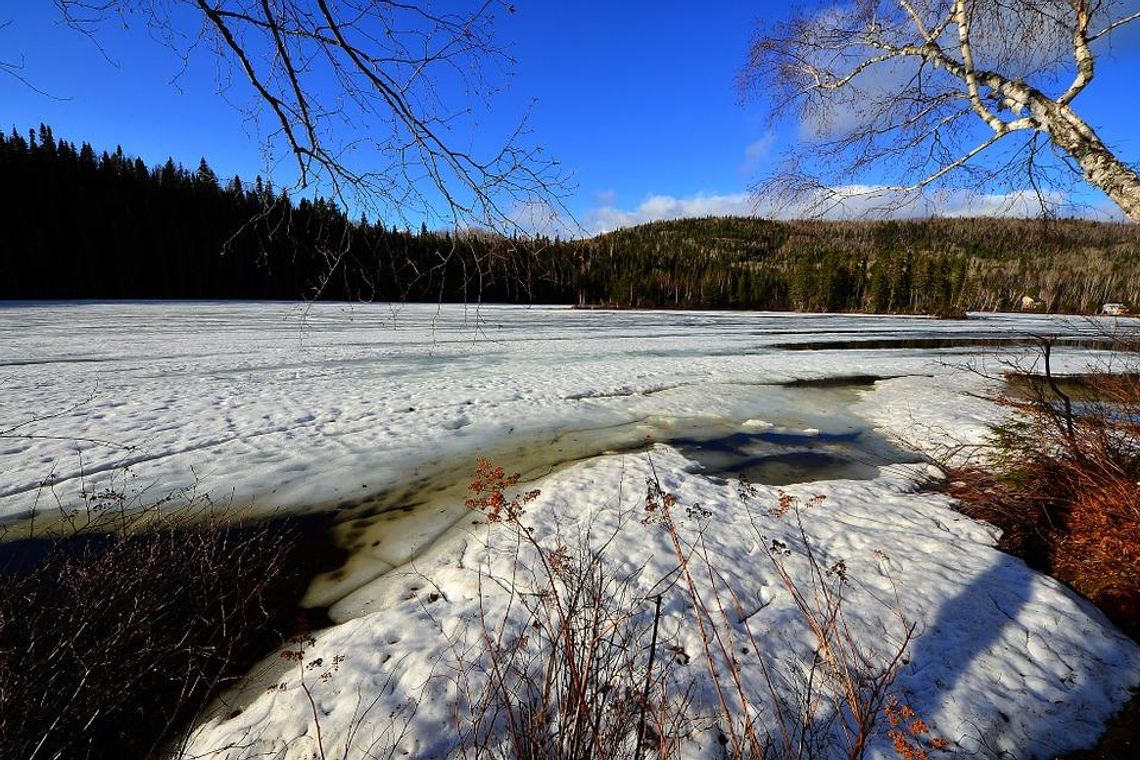 Wigilia ze śniegiem? PROGNOZA POGODY