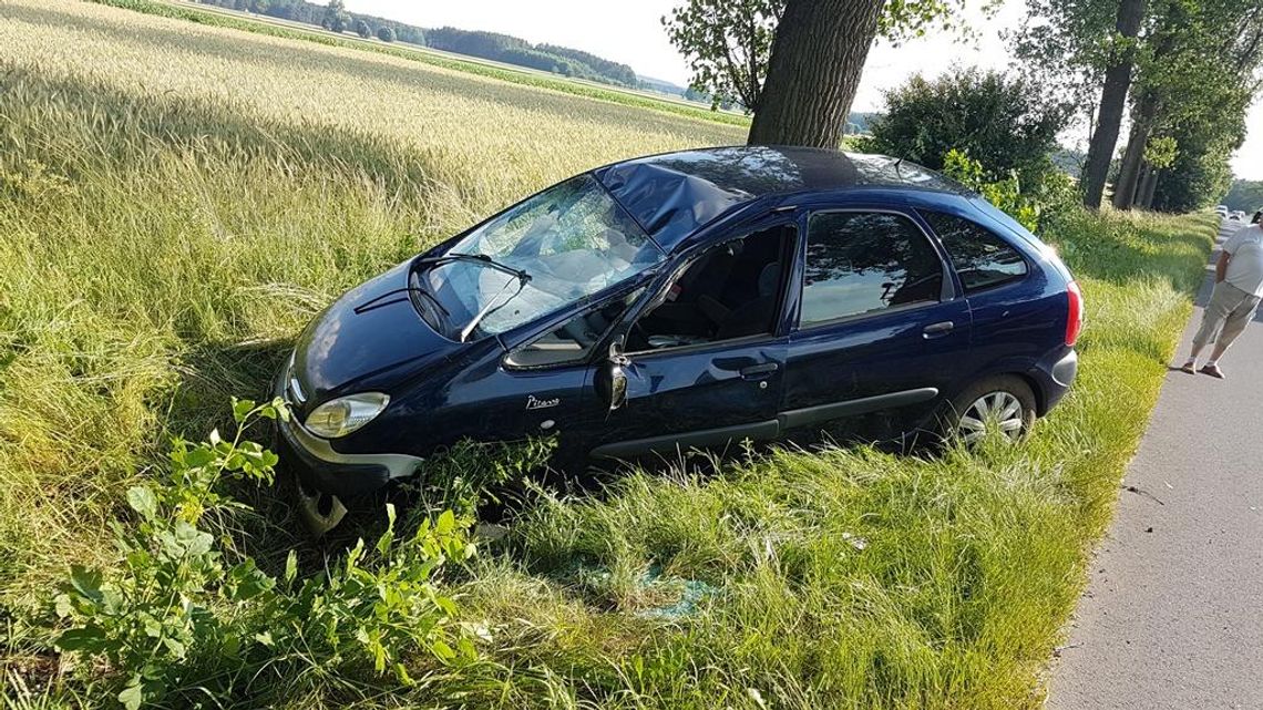 Wjechała do rowu i uderzyła w drzewo. W aucie czwórka dzieci ZDJĘCIA