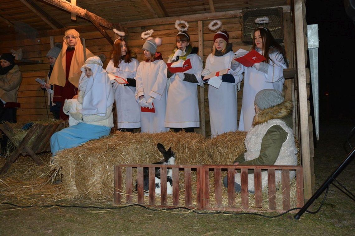 WOŚP w „Stajni Krzyżówki” ZDJĘCIA