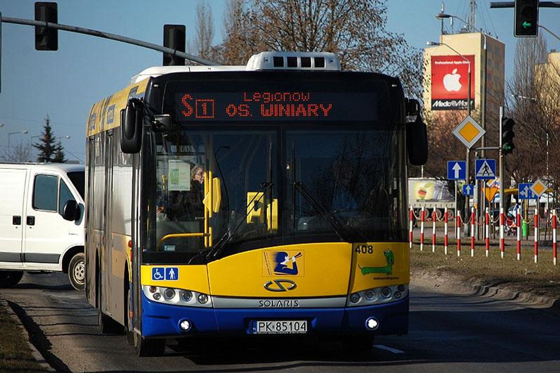 Wraca nocna linia autobusowa