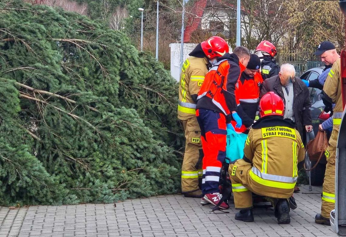 Wsiadał do auta. Spadło na niego drzewo