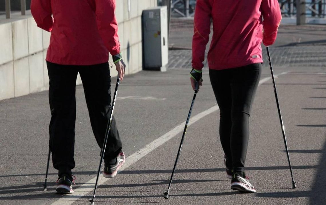 Wszystko o nordic walking