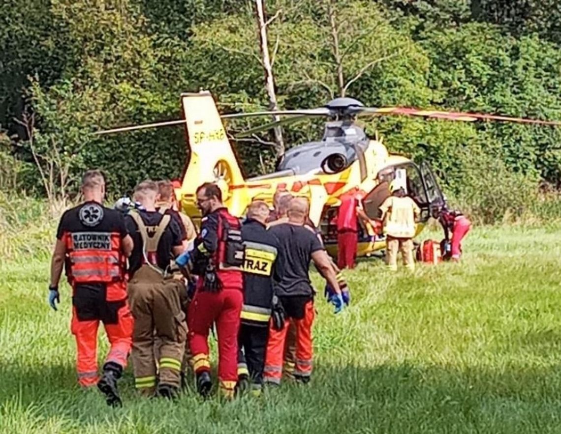 Wypadek przy pracy. Mężczyzna przygnieciony przez drzewo