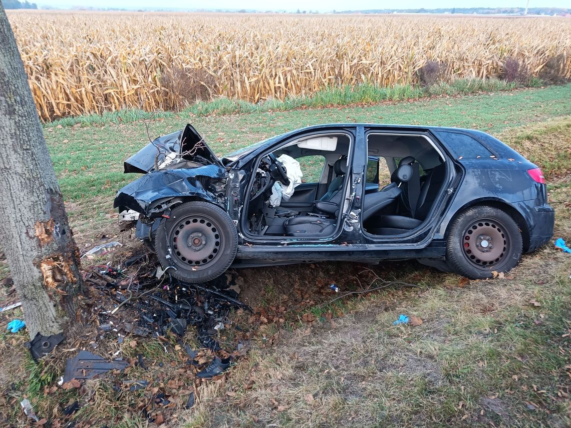 Wypadek w Jankowie Pierwszym. Kierowca w stanie ciężkim