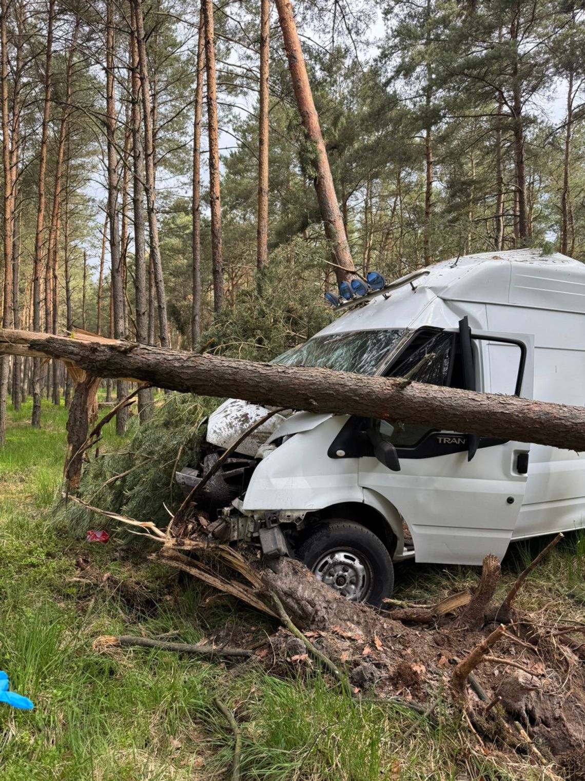 Wypadek w lesie. Bus uderzył w drzewo ZDJĘCIA