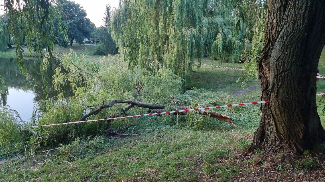 Wypadek w Parku Przyjaźni. Mamy odpowiedź Miasta!