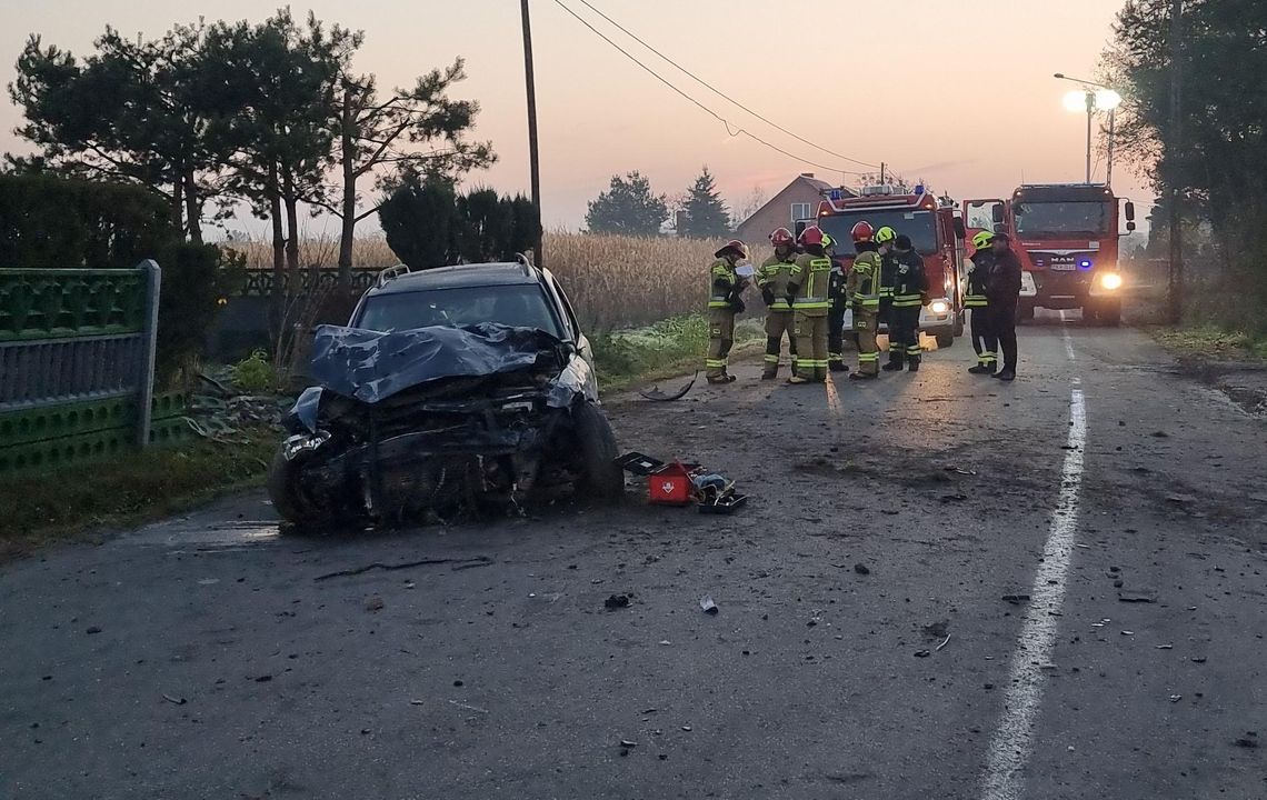 Wypadł  z drogi i staranował płot  ZDJĘCIA