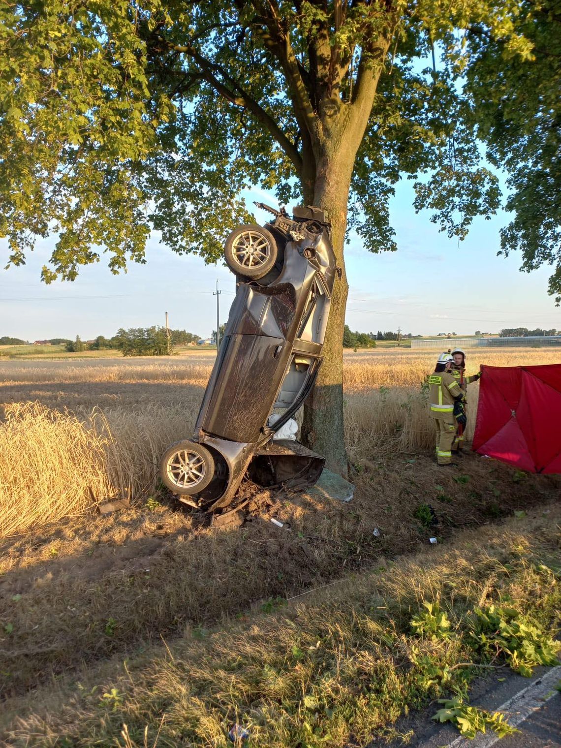 Wypadł z drogi i uderzył w drzewo. Kierowca zginął na miejscu