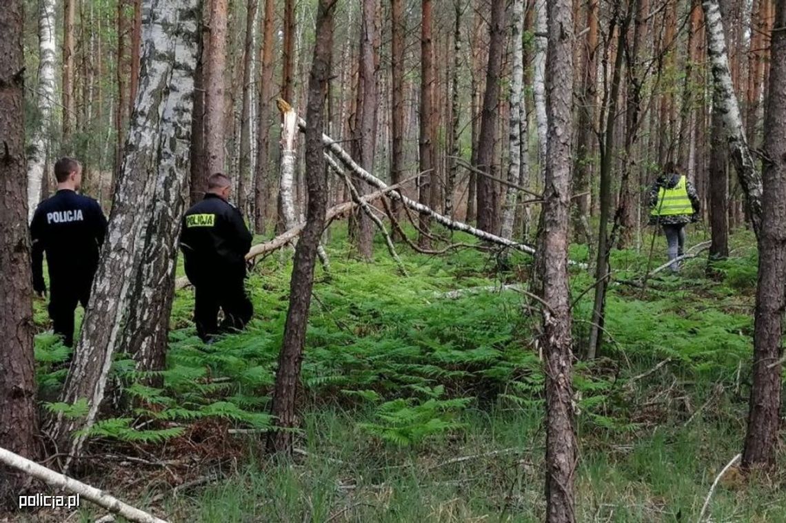 Wyszedł z domu i zgubił się w lesie. Akcja poszukiwawcza mężczyzny