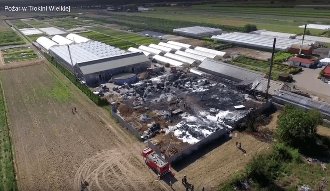 Z góry widać ogrom zniszczeń. Pożar w Tłokini z lotu ptaka WIDEO