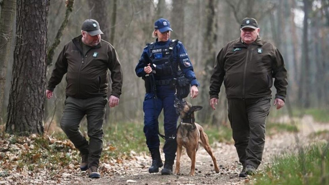 Z nożem na kobietę. Kaliszanin zaatakował w lesie
