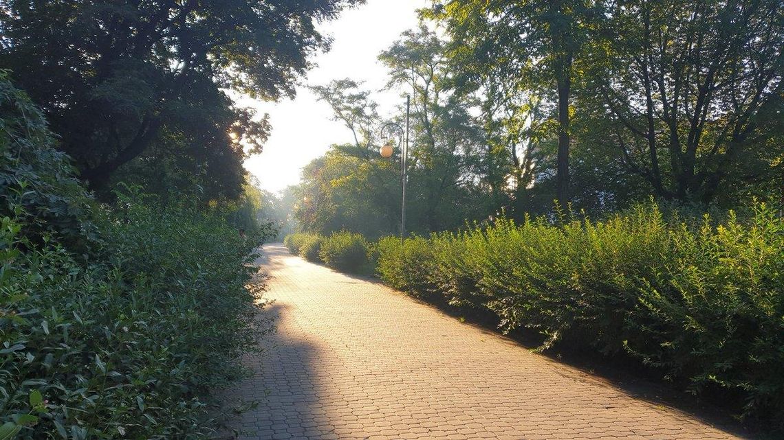 Z Plant Miejskich znikają ławki. To już oficjalnie teren budowy ZDJĘCIA