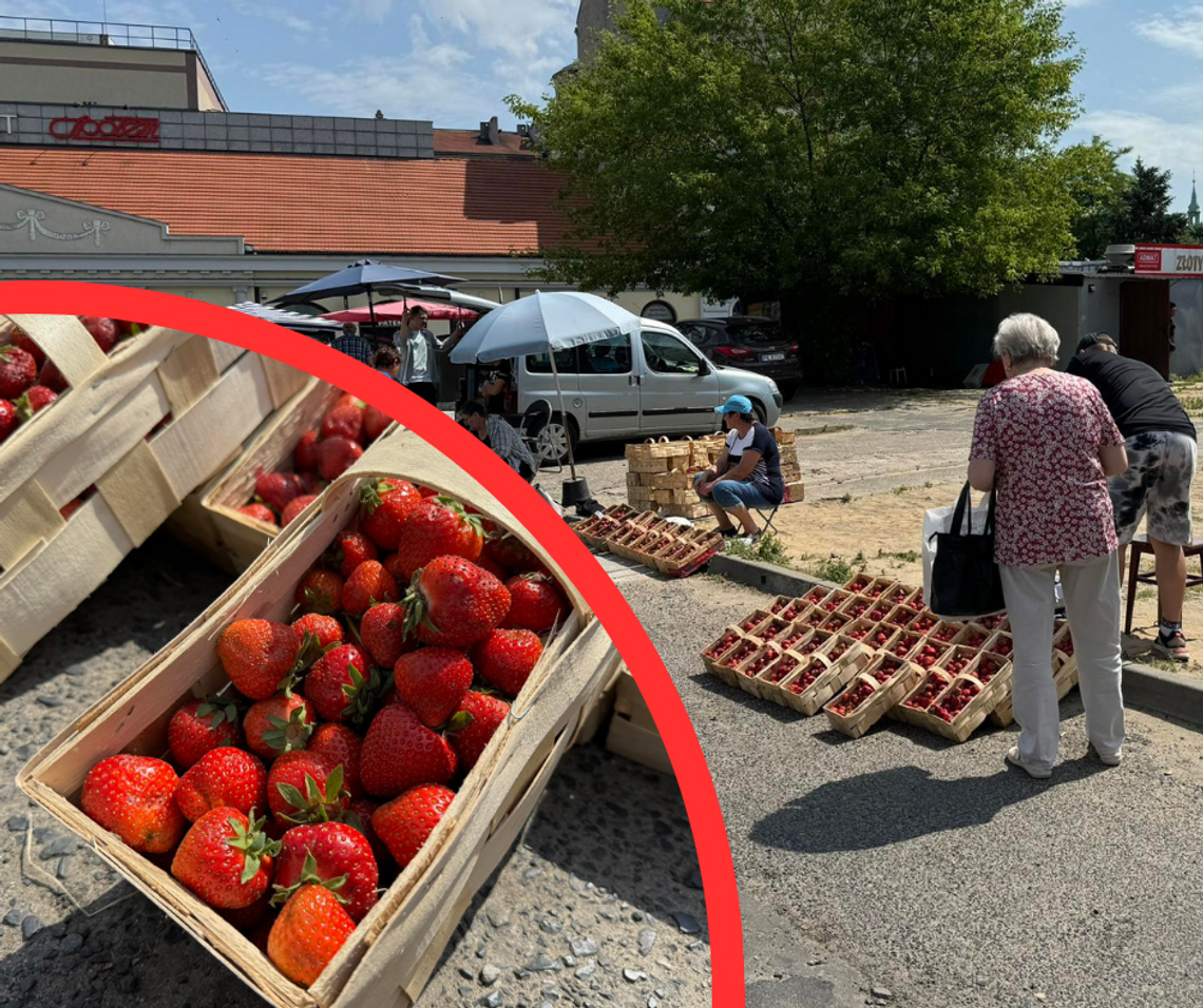 Za ile kupimy truskawki na kaliskich rynkach? CENY